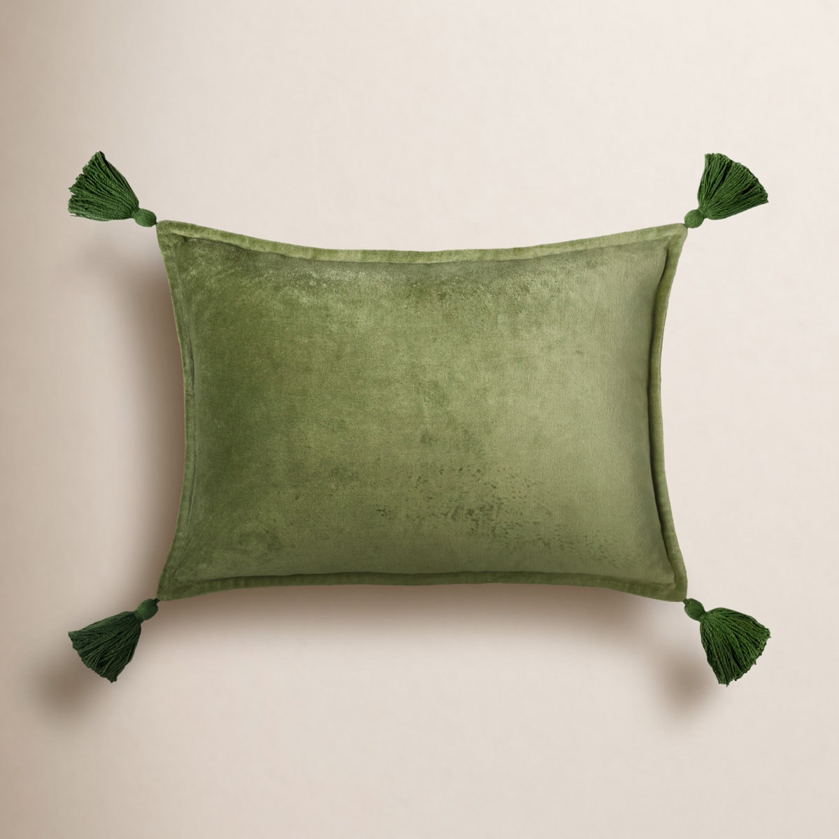 Norwin Rectangular 100% Cotton Pillow Cover & Insert