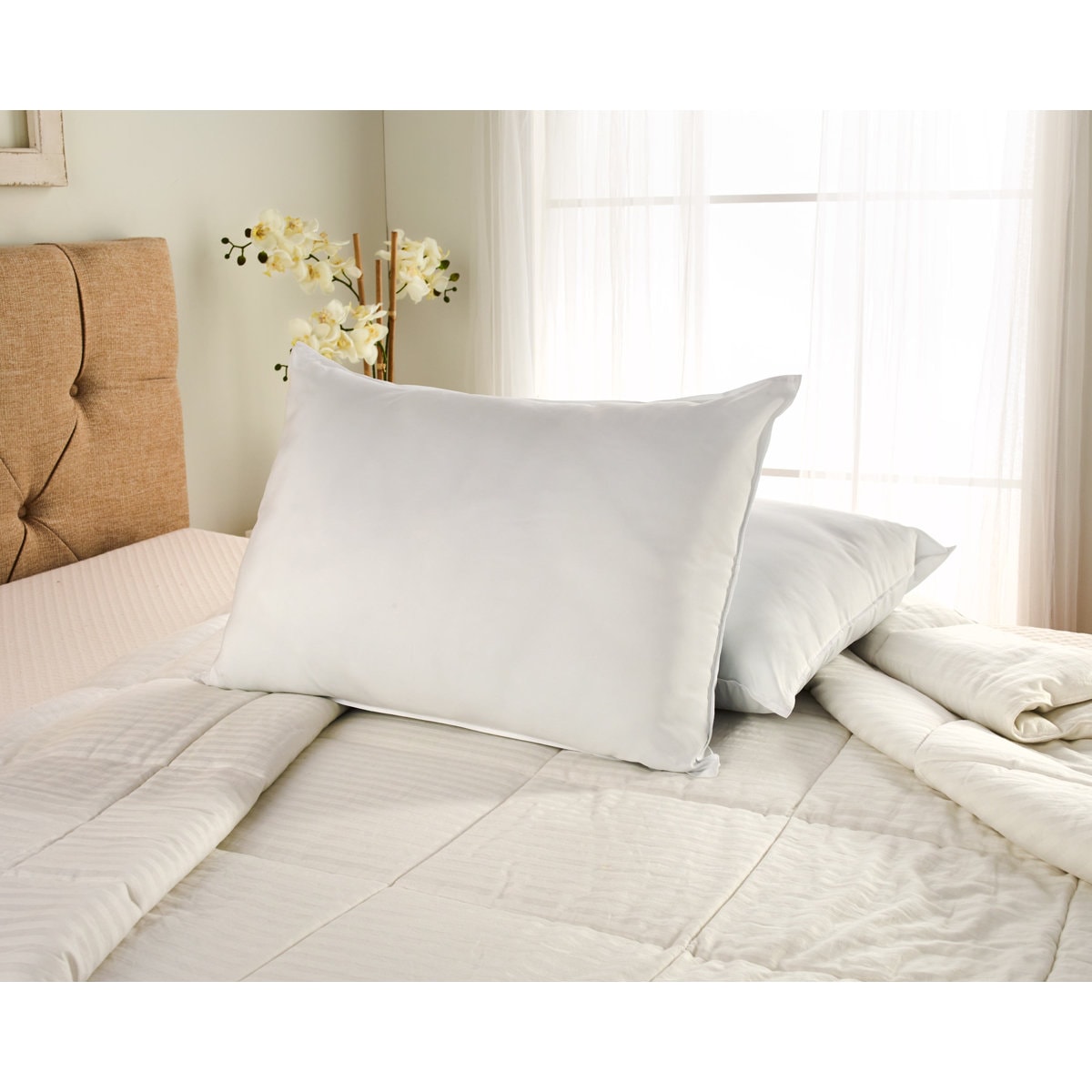 Wayfair Sleep™ Polyester Plush Pillow (Set of 2)