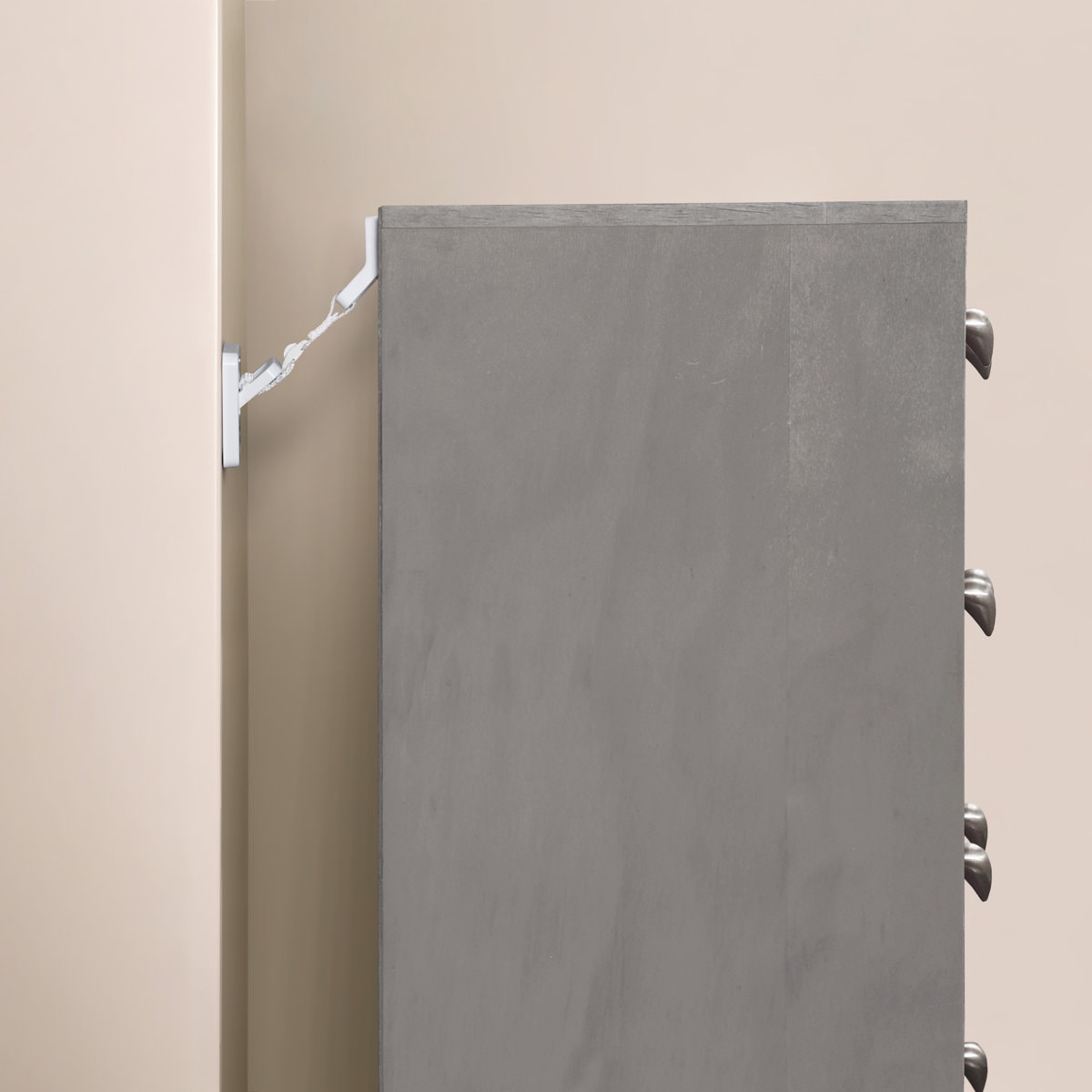 Wayfair Basics® Hinged Furniture Anti-Tip Strap (Set of 2)