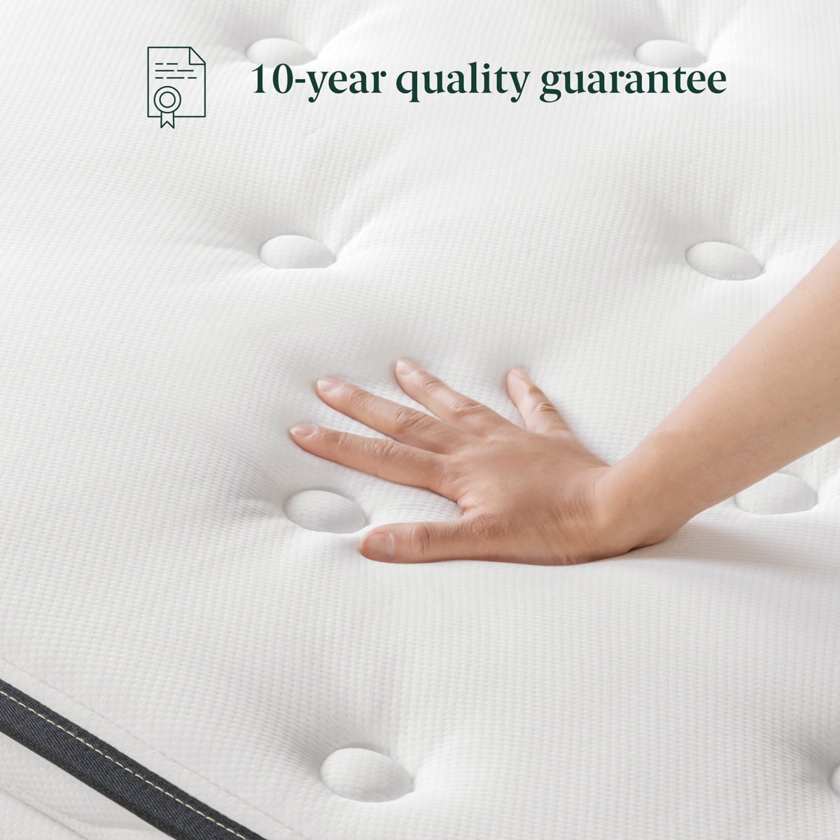 Wayfair Sleep 8" Plush Pillow Top Hybrid Mattress